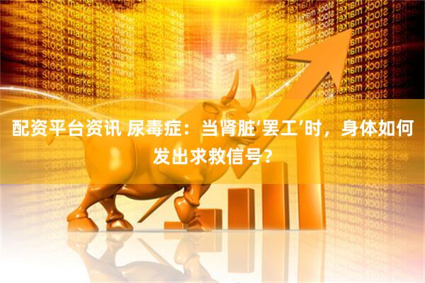 配资平台资讯 尿毒症：当肾脏‘罢工’时，身体如何发出求救信号？