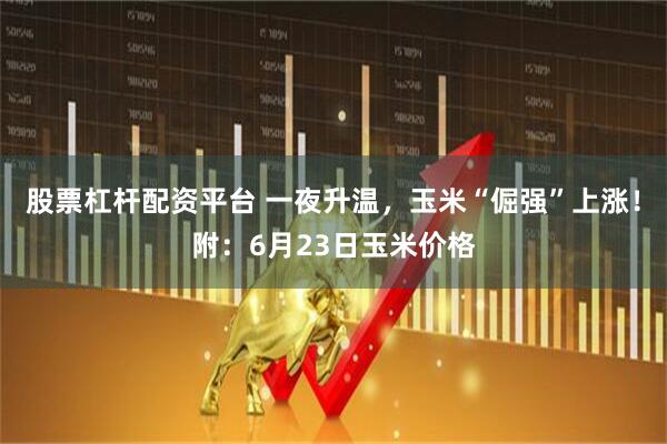 股票杠杆配资平台 一夜升温，玉米“倔强”上涨！附：6月23日玉米价格
